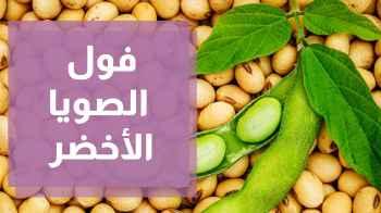 تعرفوا على الفوائد الصحية لفول الصويا الأخضر